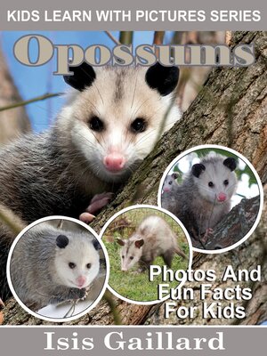 cover image of Opossums